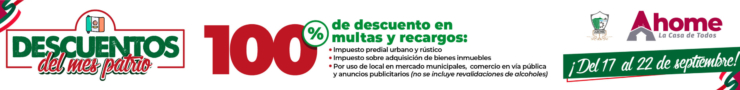 Descripción de la imagen