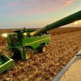1783369285554-whatsapp_image_2026-07-05_at_11-43-46_am