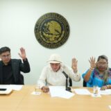 1784230749090-comision_salud