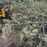 og-image-57