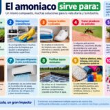 1793045416792-amonicao_3