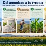 1793045417552-amoniaco_2